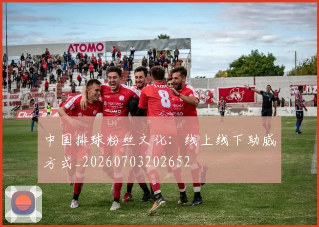 中国排球粉丝文化：线上线下助威方式_20260703202652