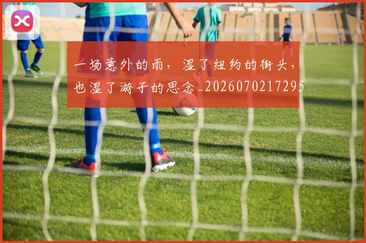 一场意外的雨,湿了纽约的街头,也湿了游子的思念_20260702172957_20260715184207