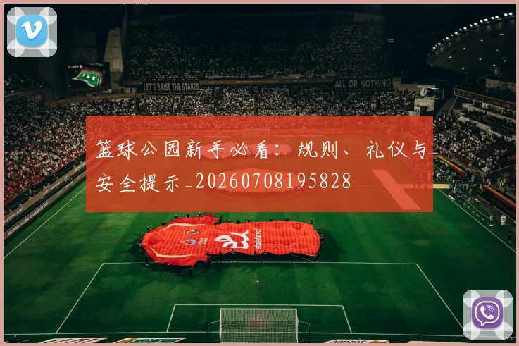 篮球公园新手必看：规则、礼仪与安全提示_20260708195828
