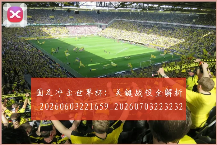 国足冲击世界杯:关键战役全解析_20260603221659_20260703223232