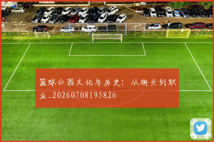 篮球公园文化与历史：从街头到职业_20260708195826